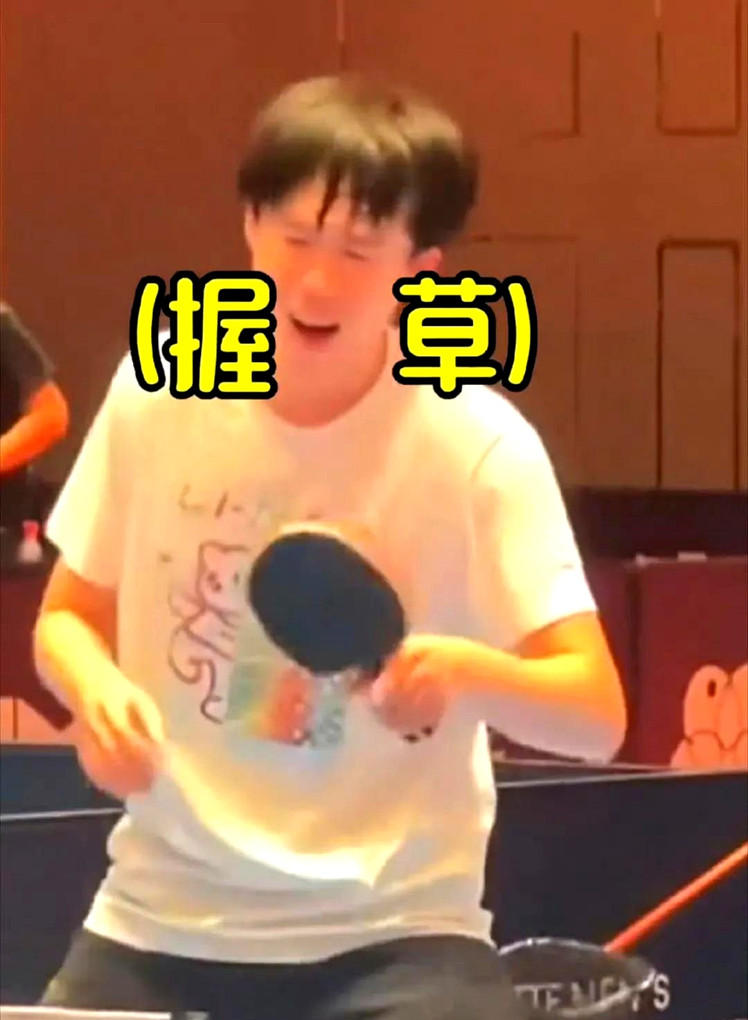 包含英国乒乓球队爆冷德国乒乓球队，王皓完成帽子戏法的词条