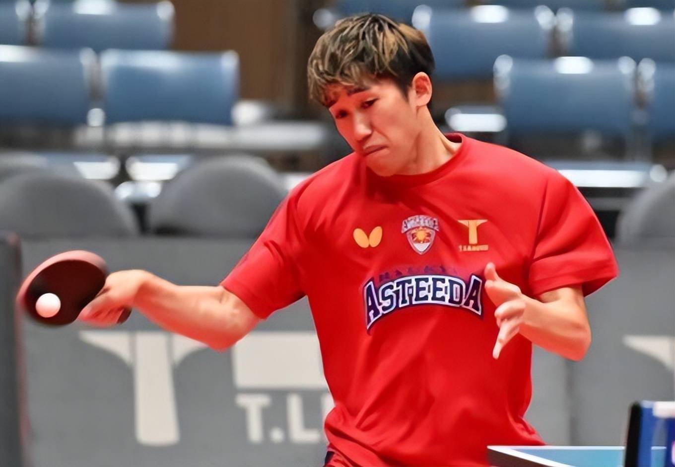 波兰乒乓球队血洗比利时乒乓球队，张本智和统治全场的简单介绍