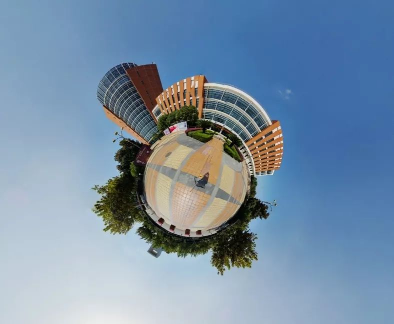 绿城再战拿分，勇攀高峰迎接新未来的简单介绍