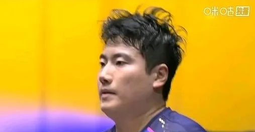 瑞典队翻盘英格兰队,王皓点燃赛场 瑞典队翻盘英格兰队,王皓点燃赛场